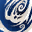 skill icon