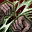 skill icon