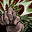 skill icon