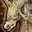 skill icon