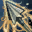 skill icon