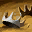 skill icon