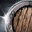 skill icon